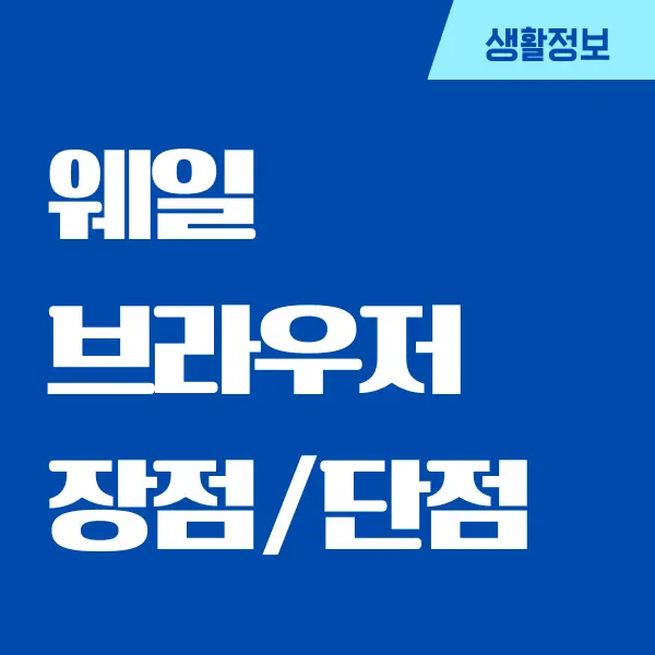 웨일 브라우저 단점, 장점, 이용후기 비교하기