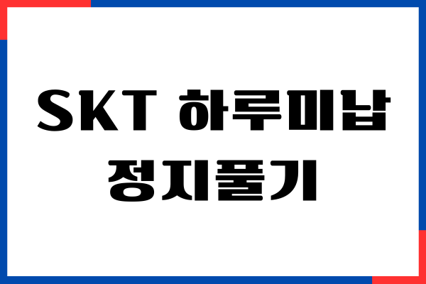 SKT 하루 미납 정지 풀기 해결, 일시정지 해제, 주의사항